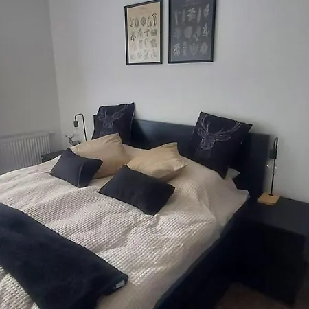 아파트 Czarny Dab 쿠도바-즈루이