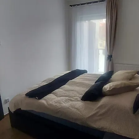 Czarny Dab 아파트 쿠도바-즈루이