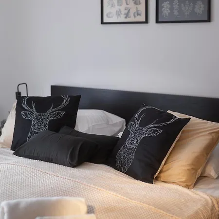 Czarny Dab Apartament Kudowa-Zdrój