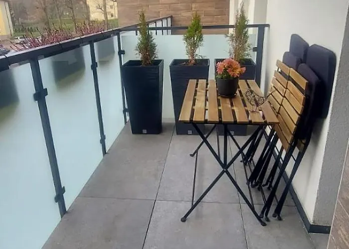 Czarny Dab 쿠도바-즈루이