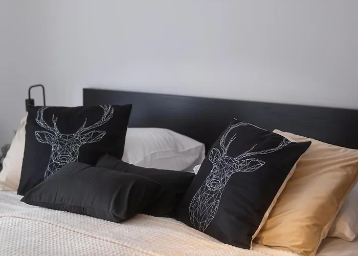 Czarny Dab 아파트 쿠도바-즈루이