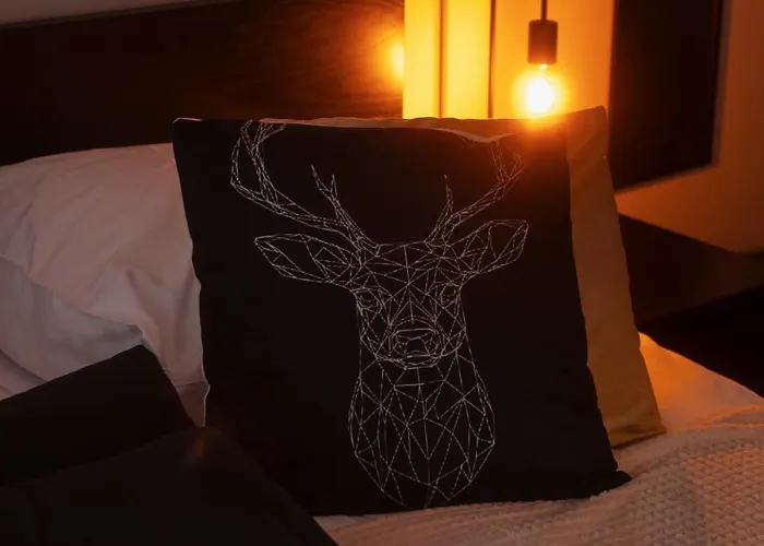 Czarny Dab 아파트 쿠도바-즈루이